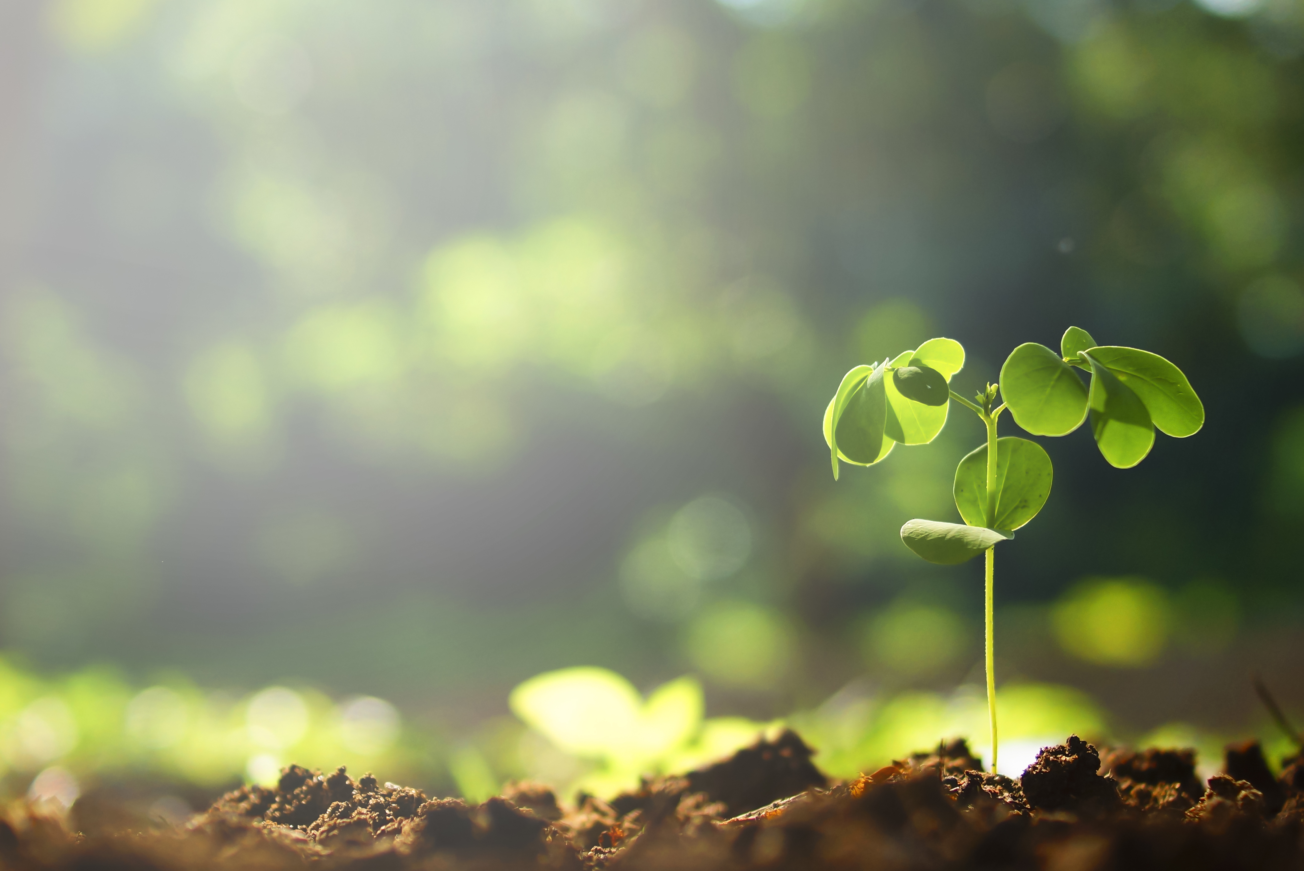 首頁輪播圖片alt